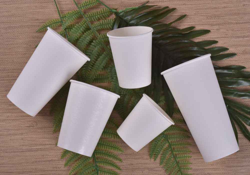 Recycled Pulp Tableware