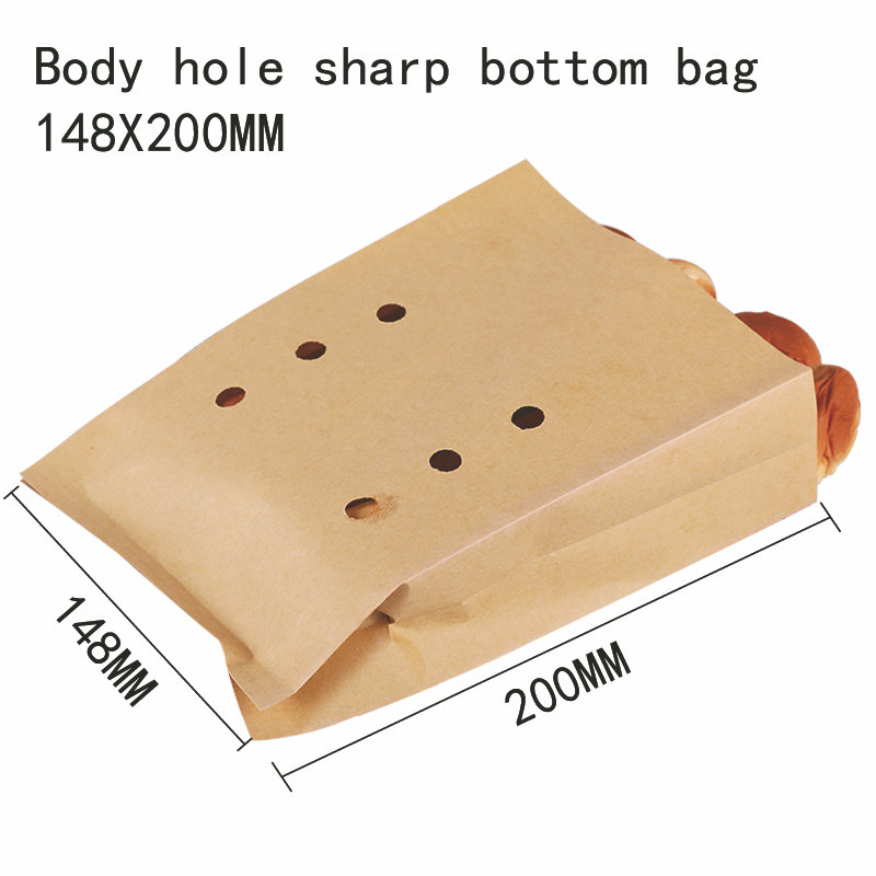 Sharp Bottom Paper Bag 9