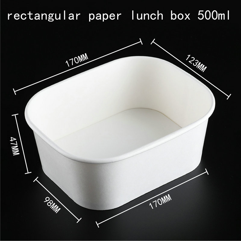 Rectangular Paper Lunch Box 2