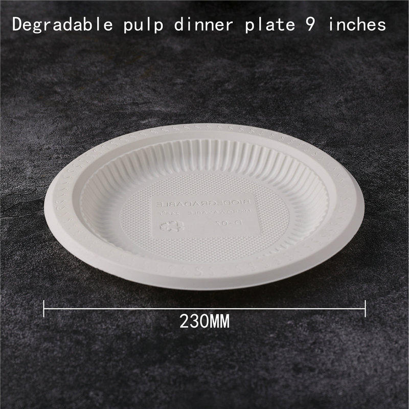 Pulp Rectangle Box 8